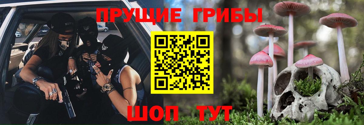 Галлюциногенные грибы Psilocybine cubensis Кузнецк