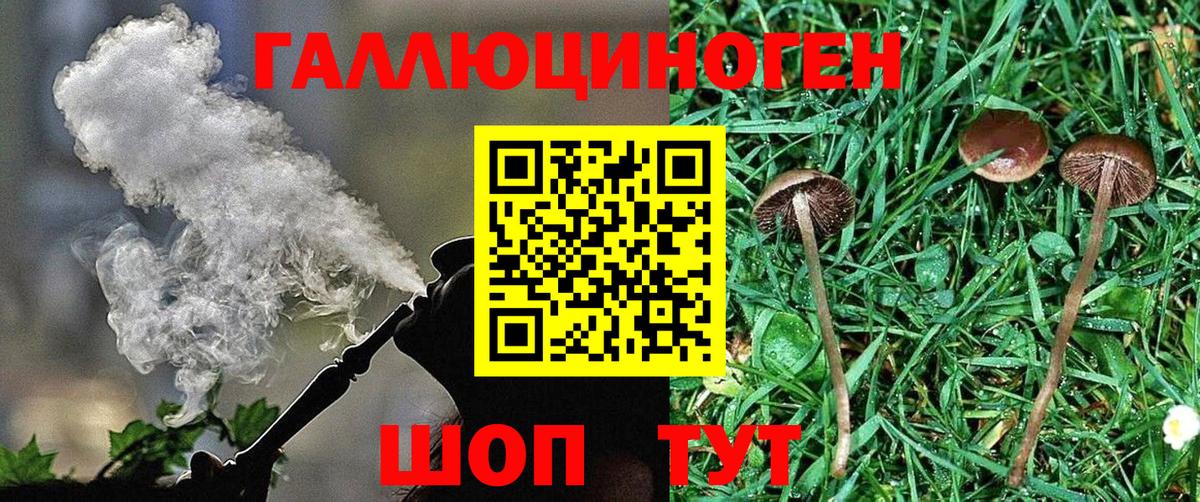 Кузнецк  купить наркотики цена  Вход с VPN  Псилоцибиновые грибы Psilocybine cubensis 